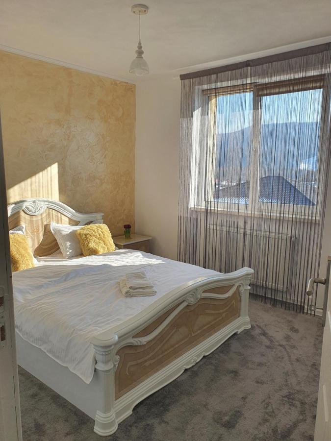 Apartament Tiron In Centru Orasului Hura-Humora Exteriér fotografie